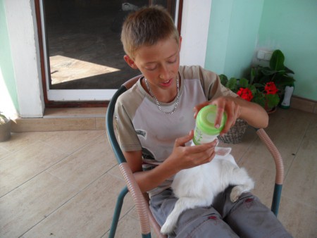 Lilikét én neveltem cumisüvegböl