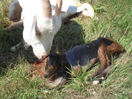 Gizi a pár perces kicsivel